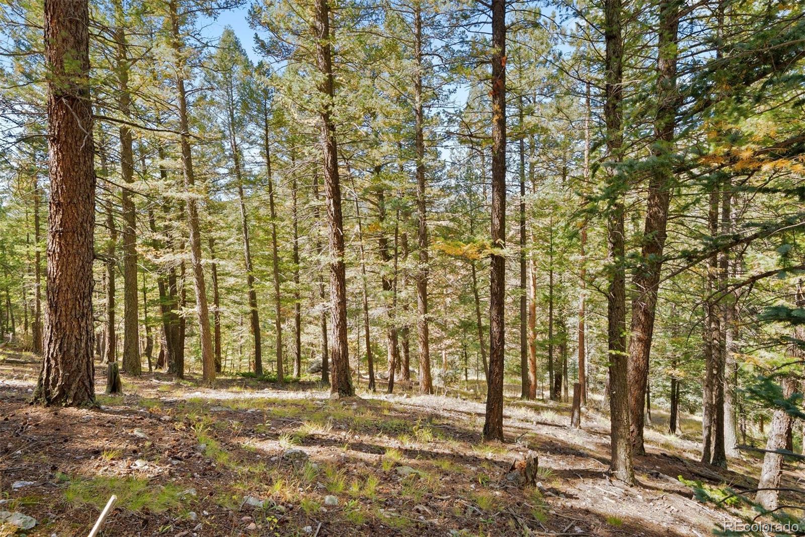 Lot 83 Conifer Drive Evergreen CO 80439