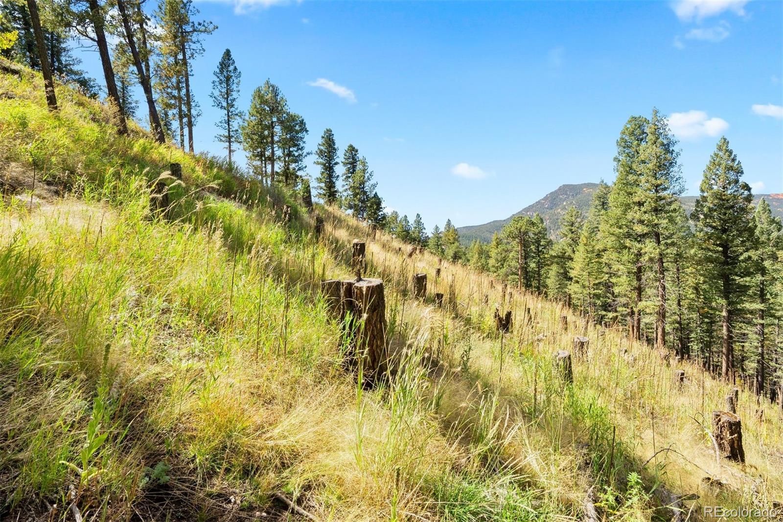 Lot 83 Conifer Drive Evergreen CO 80439