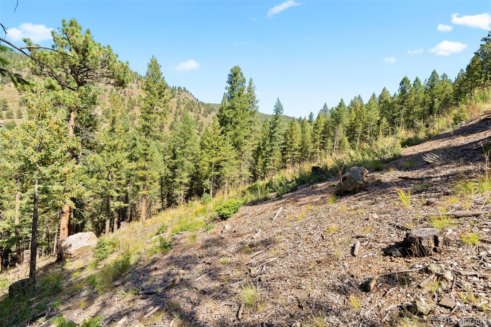 Lot 83 Conifer Drive Evergreen CO 80439