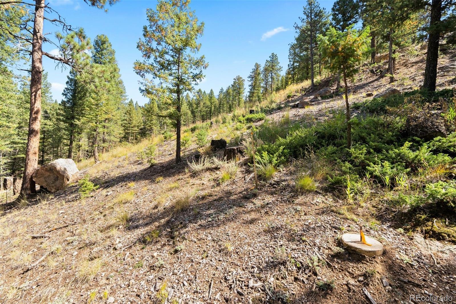 Lot 83 Conifer Drive Evergreen CO 80439