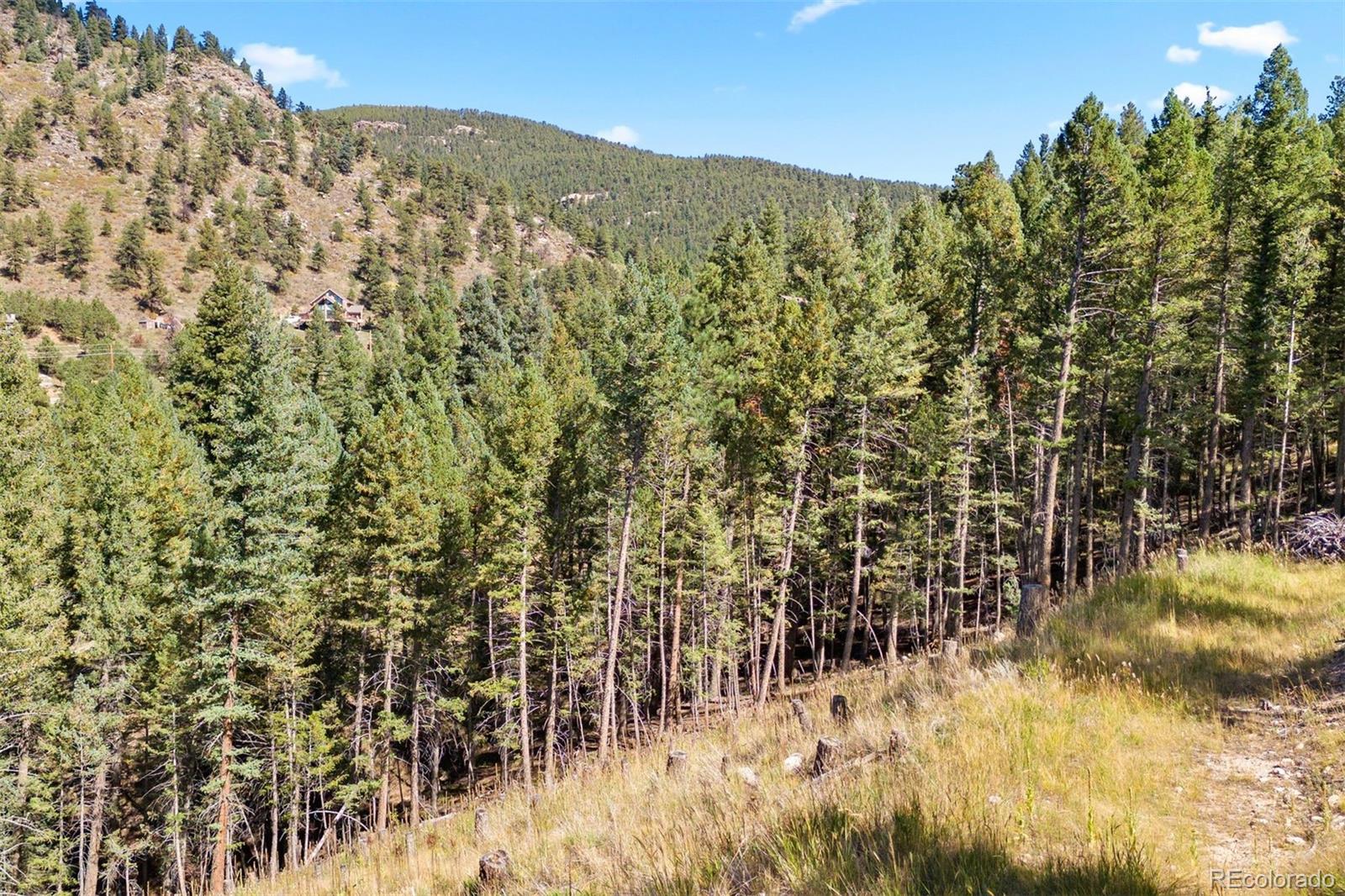 Lot 83 Conifer Drive Evergreen CO 80439