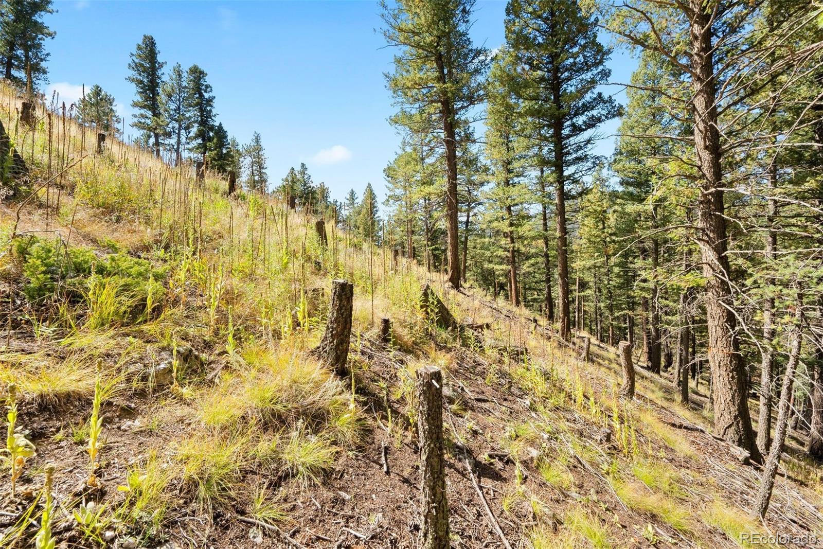 Lot 83 Conifer Drive Evergreen CO 80439