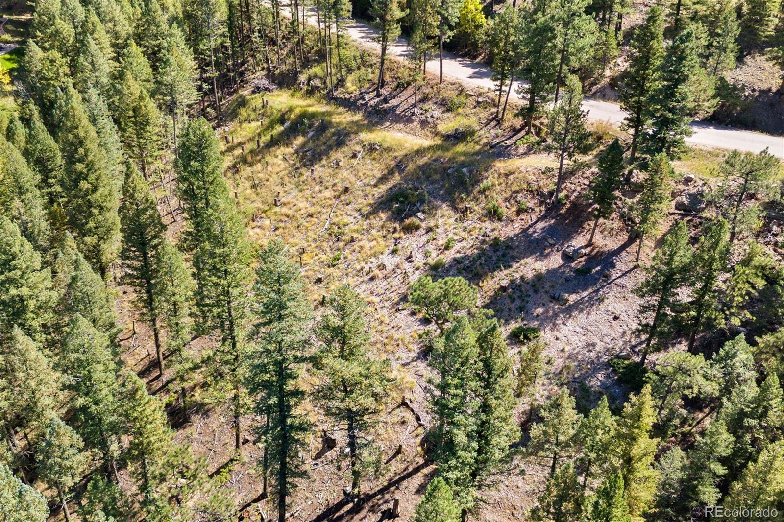 Lot 83 Conifer Drive Evergreen CO 80439