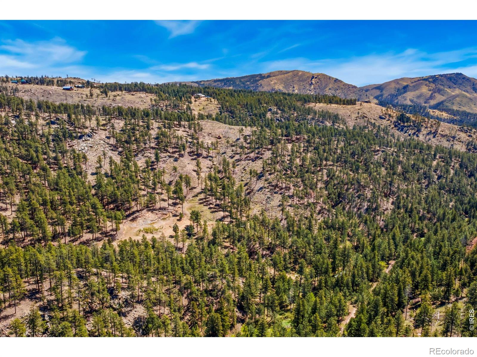 1899 Spring Valley Road Bellvue CO 80512