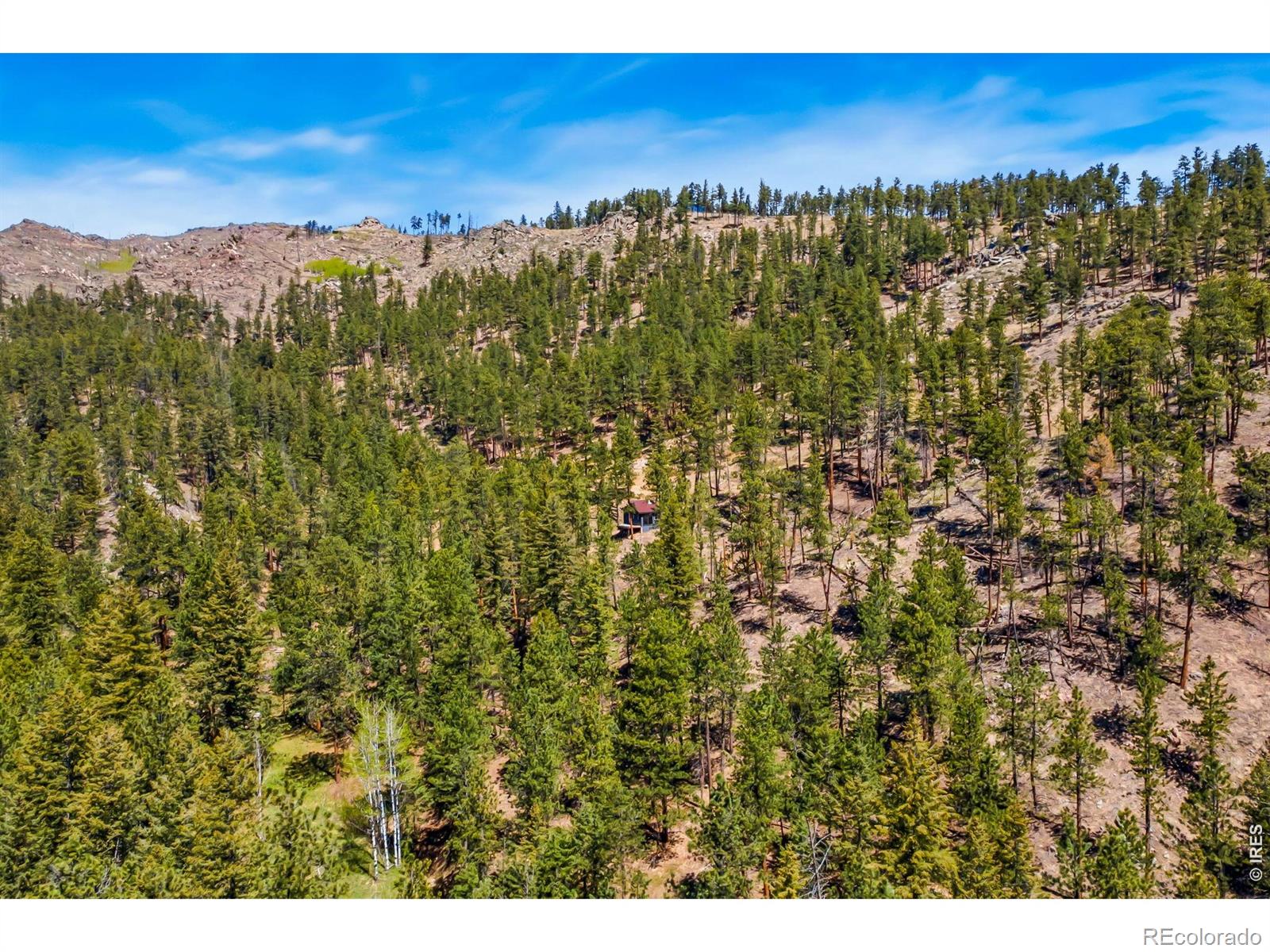 1899 Spring Valley Road Bellvue CO 80512