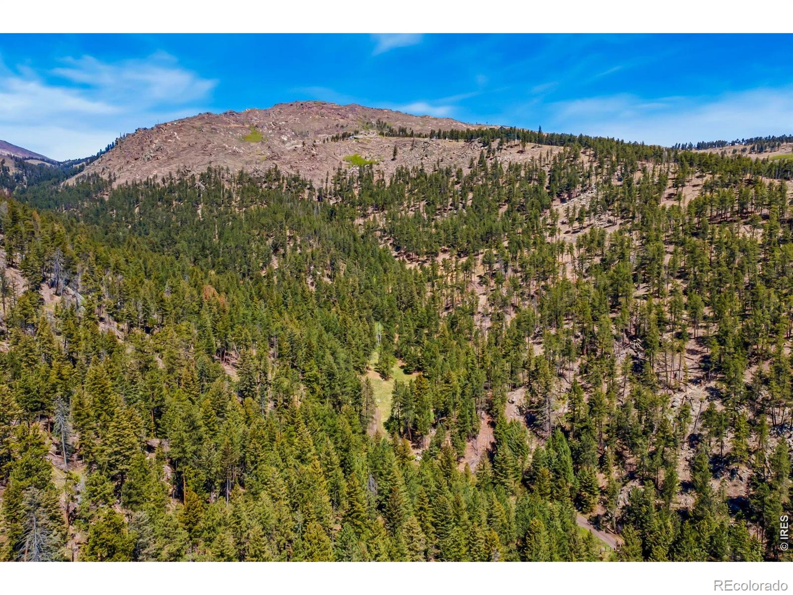 1899 Spring Valley Road Bellvue CO 80512