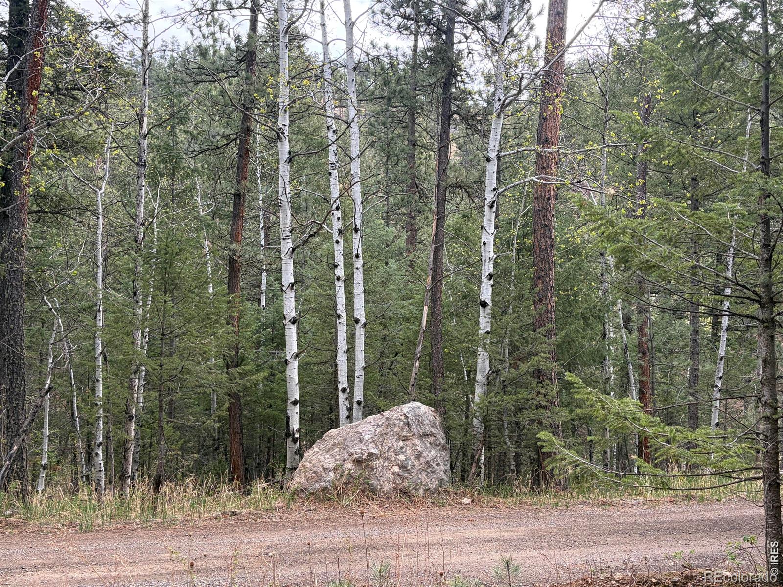 1899 Spring Valley Road Bellvue CO 80512