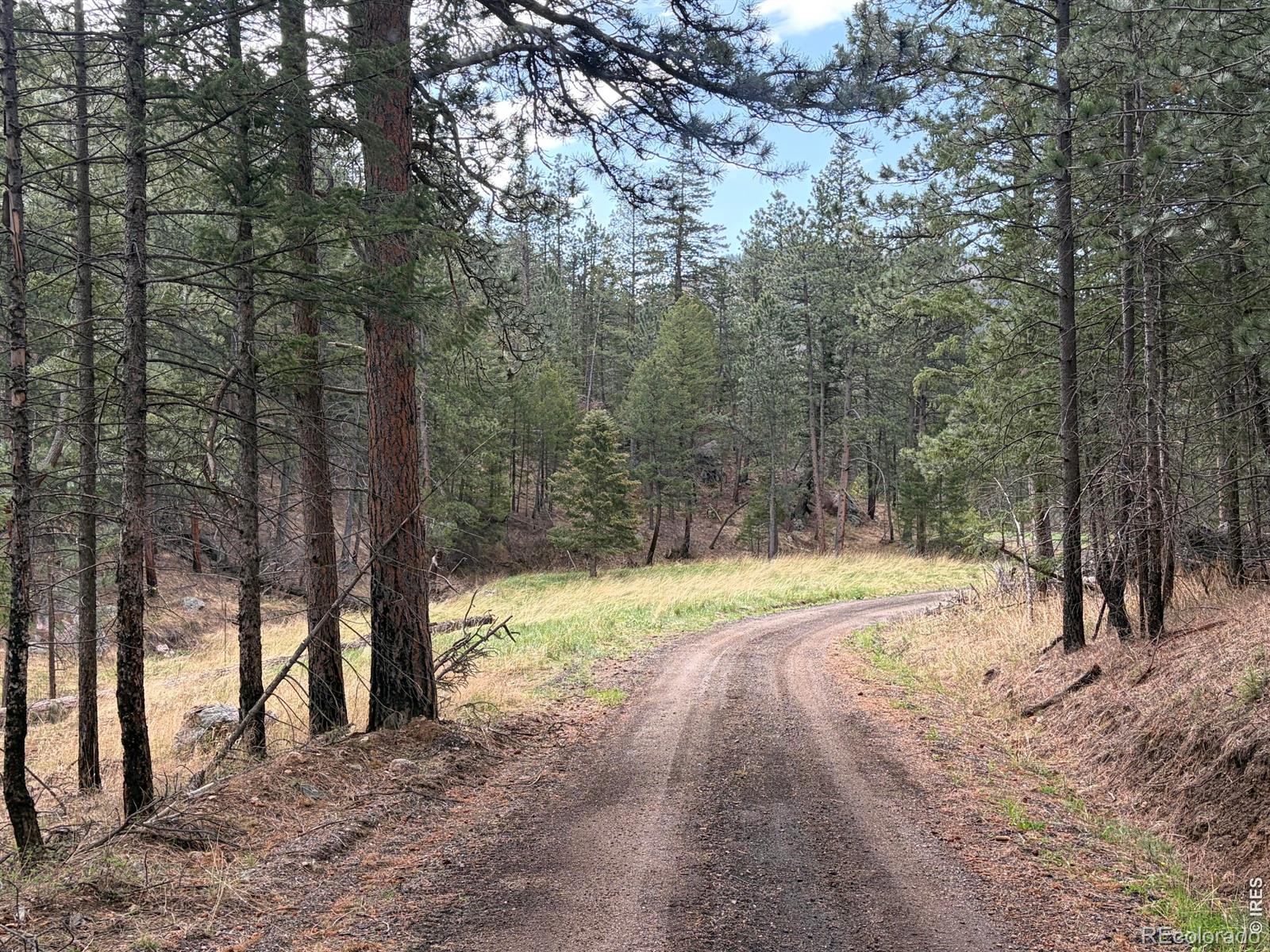 1899 Spring Valley Road Bellvue CO 80512