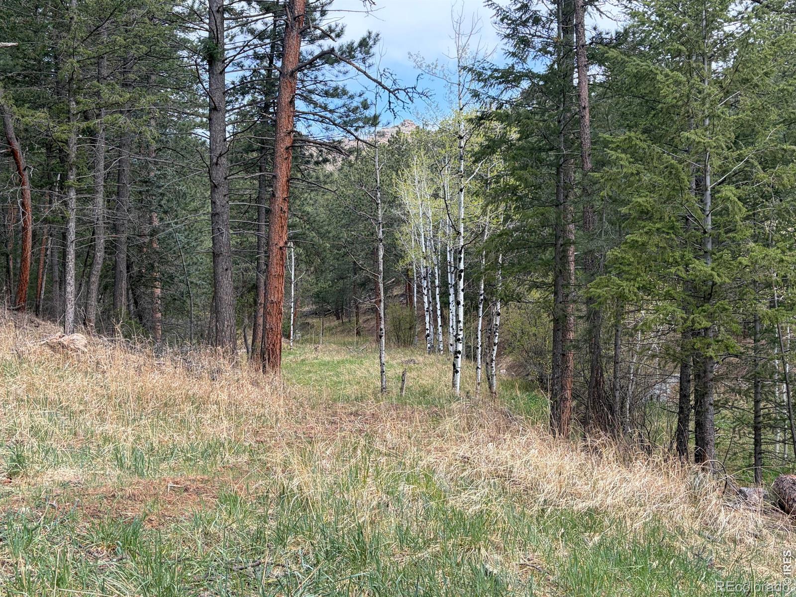 1899 Spring Valley Road Bellvue CO 80512