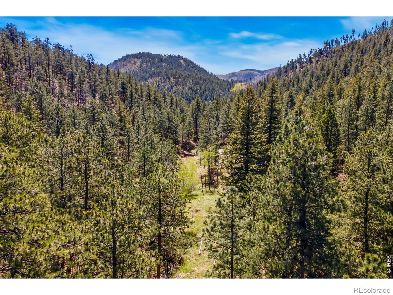 1899 Spring Valley Road Bellvue CO 80512