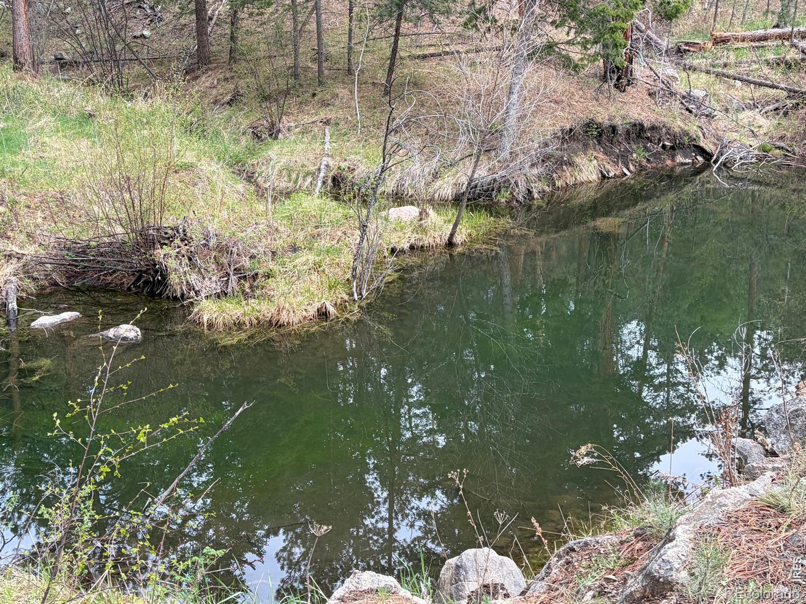 1899 Spring Valley Road Bellvue CO 80512