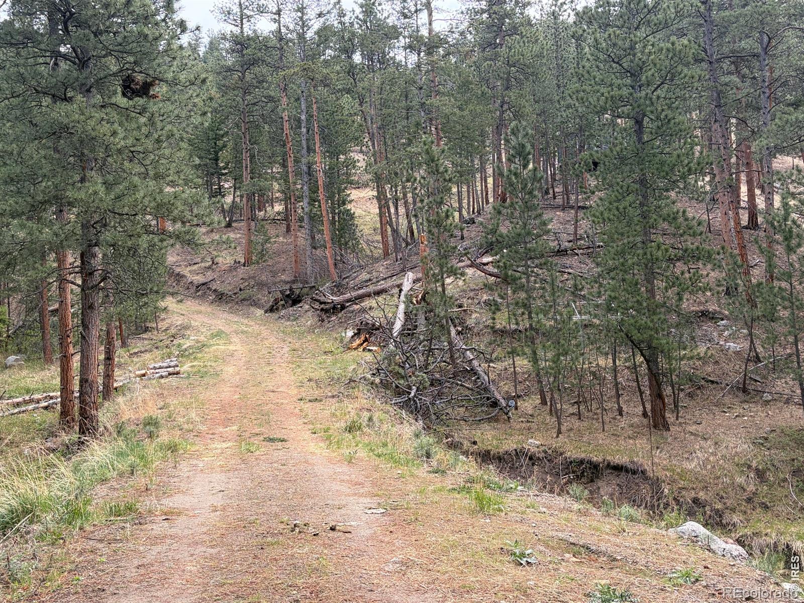 1899 Spring Valley Road Bellvue CO 80512