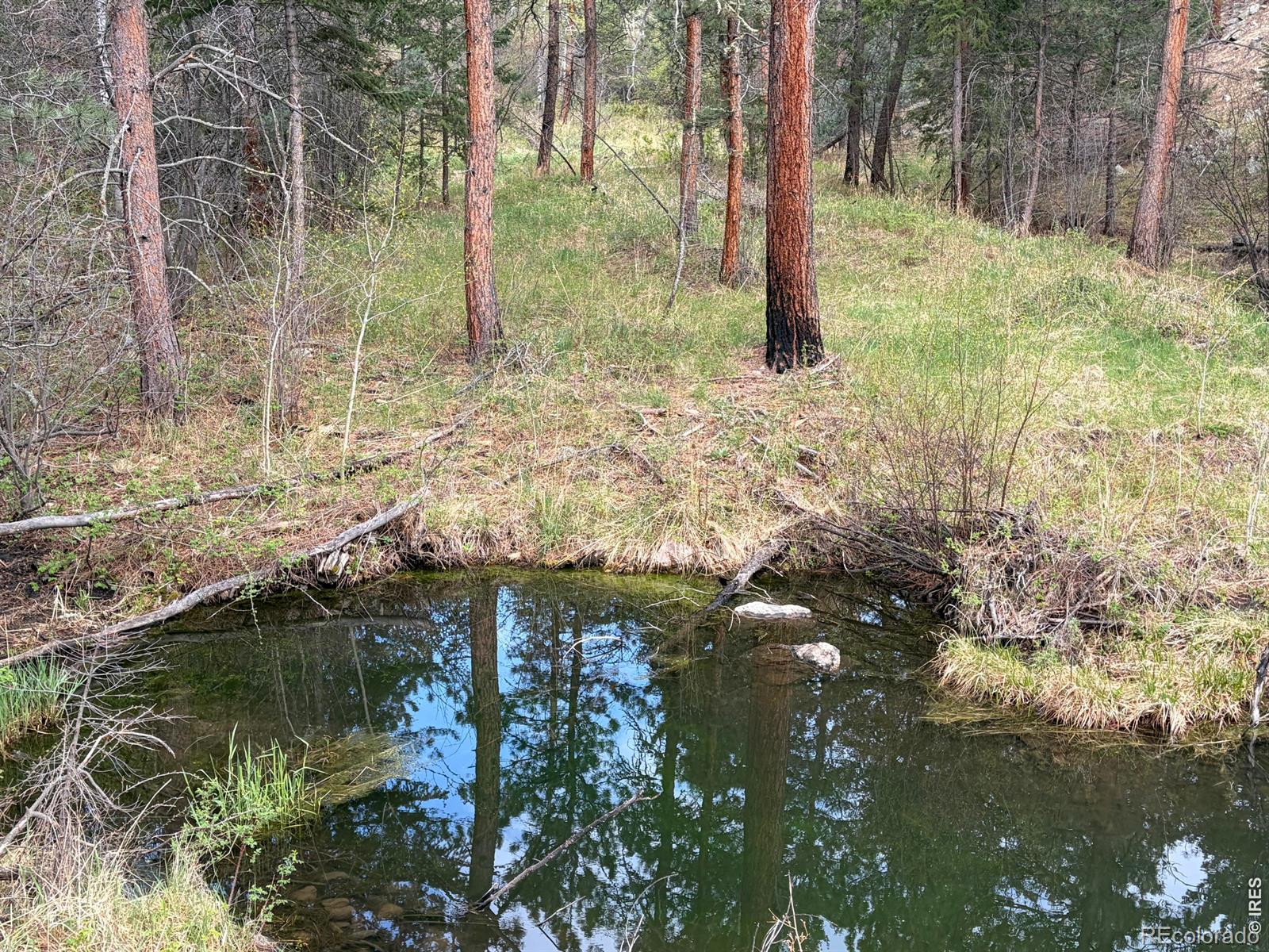 1899 Spring Valley Road Bellvue CO 80512