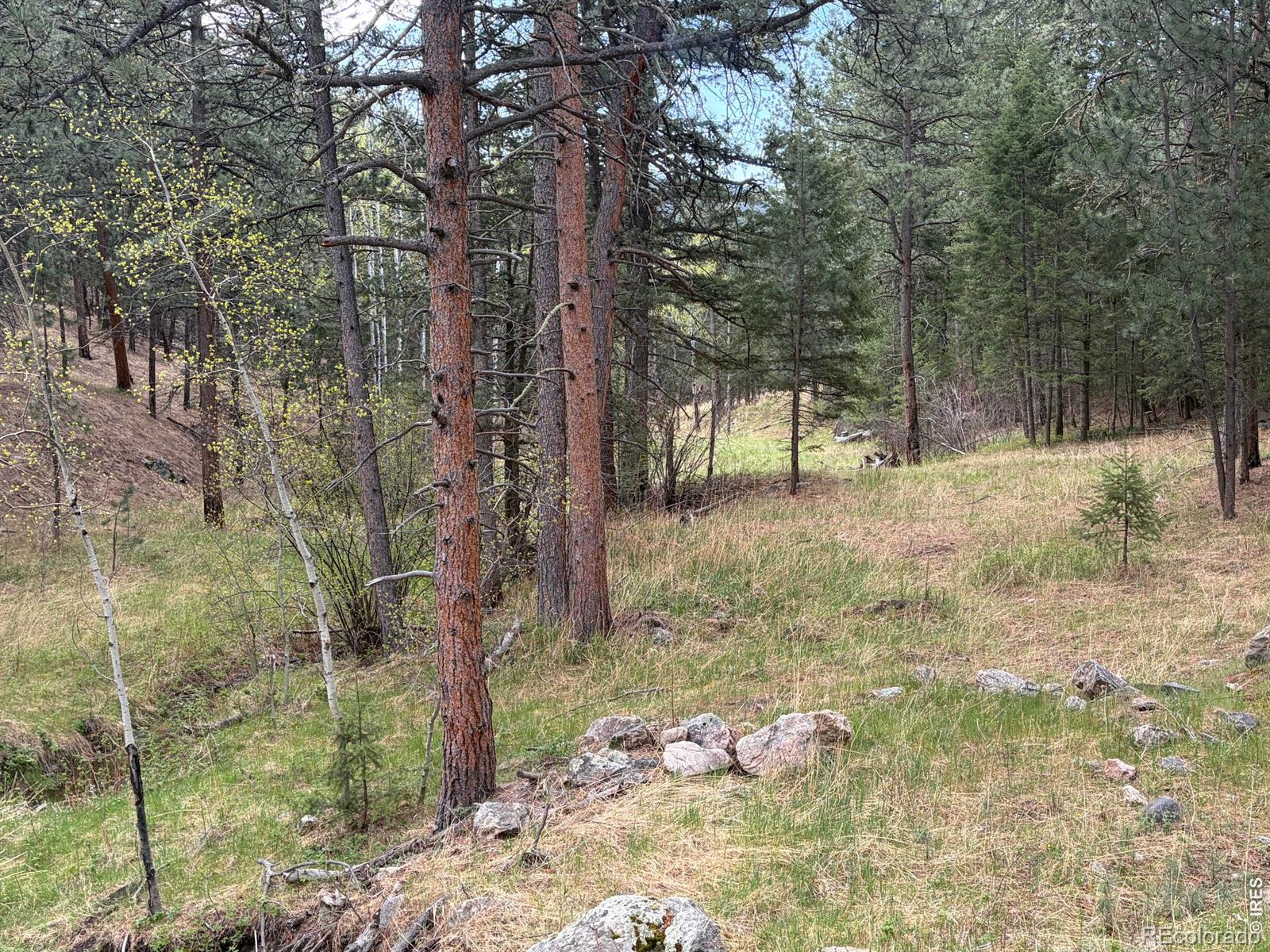 1899 Spring Valley Road Bellvue CO 80512