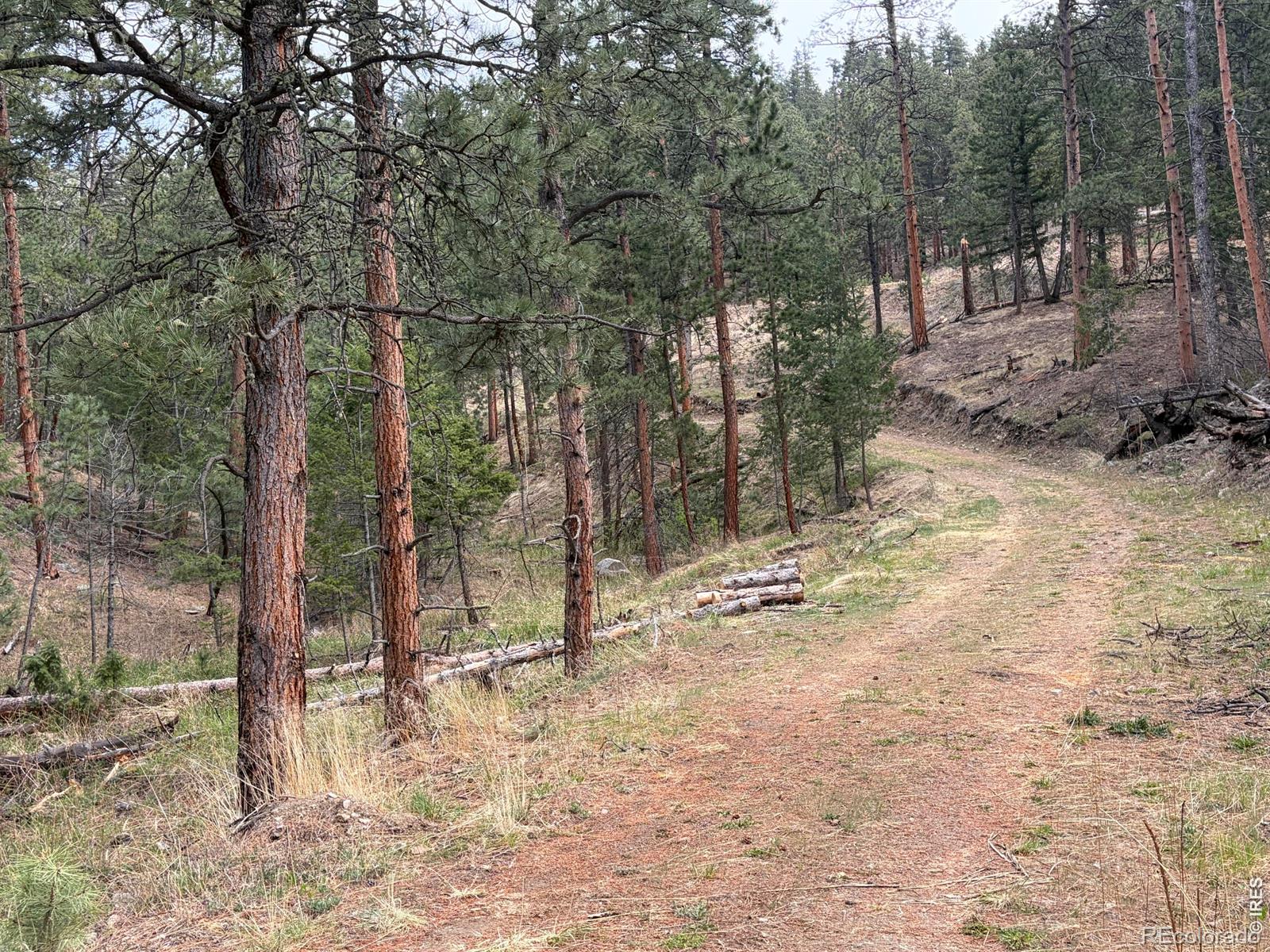 1899 Spring Valley Road Bellvue CO 80512
