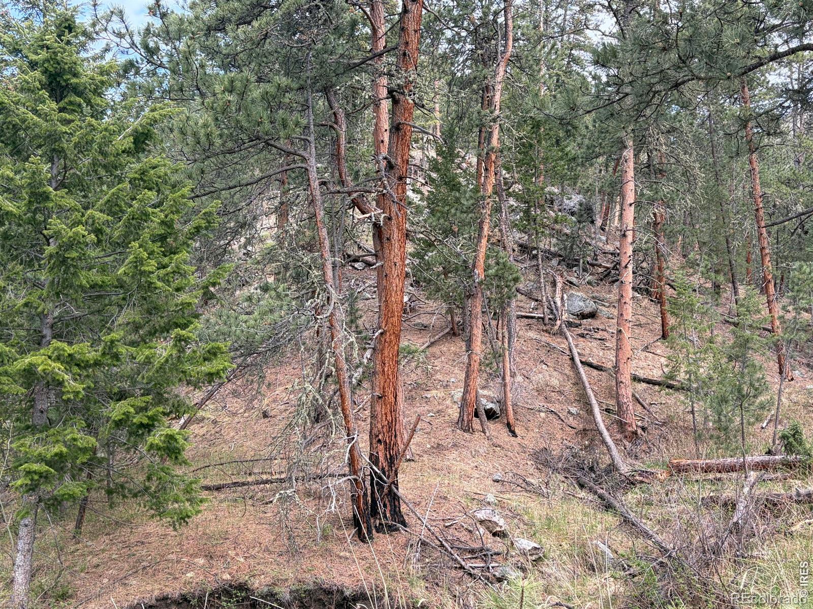1899 Spring Valley Road Bellvue CO 80512