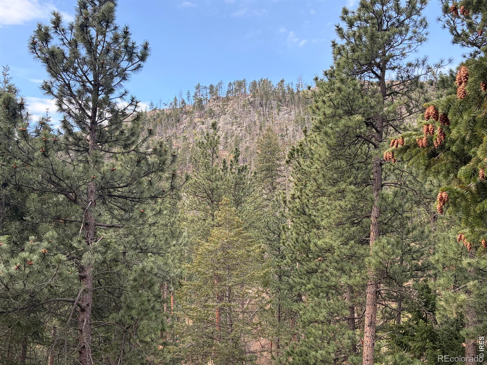 1899 Spring Valley Road Bellvue CO 80512