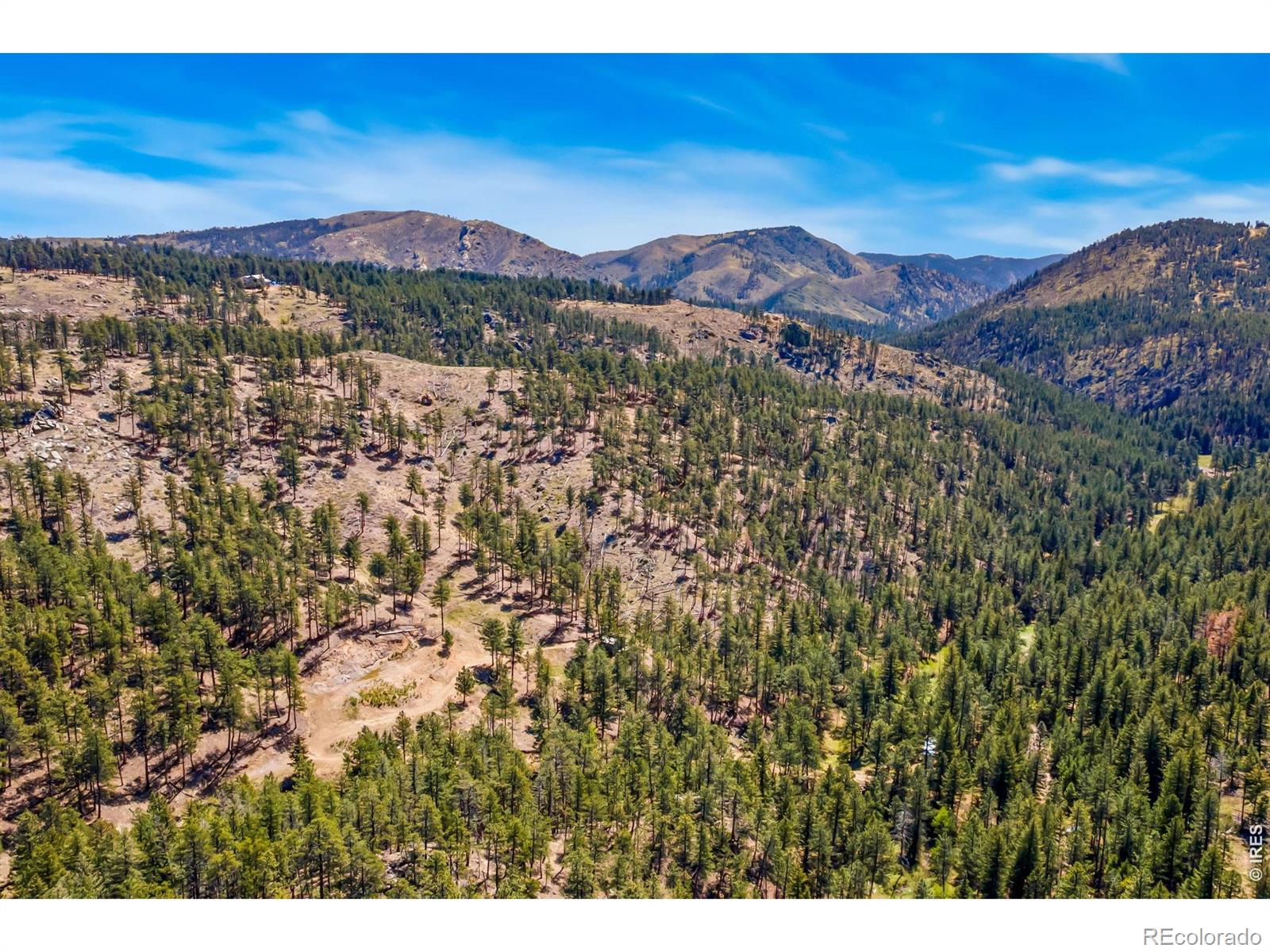 1899 Spring Valley Road Bellvue CO 80512