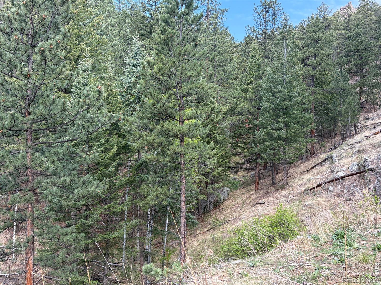 1899 Spring Valley Road Bellvue CO 80512