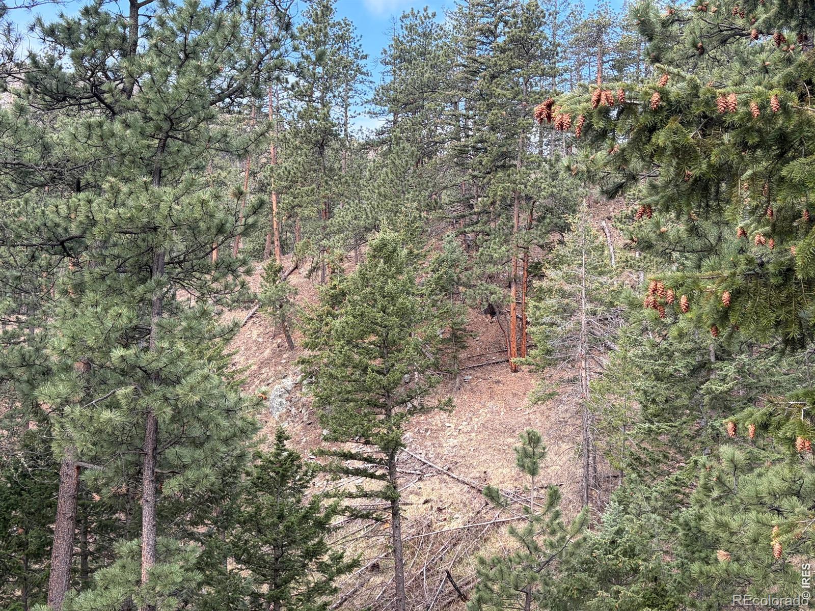 1899 Spring Valley Road Bellvue CO 80512