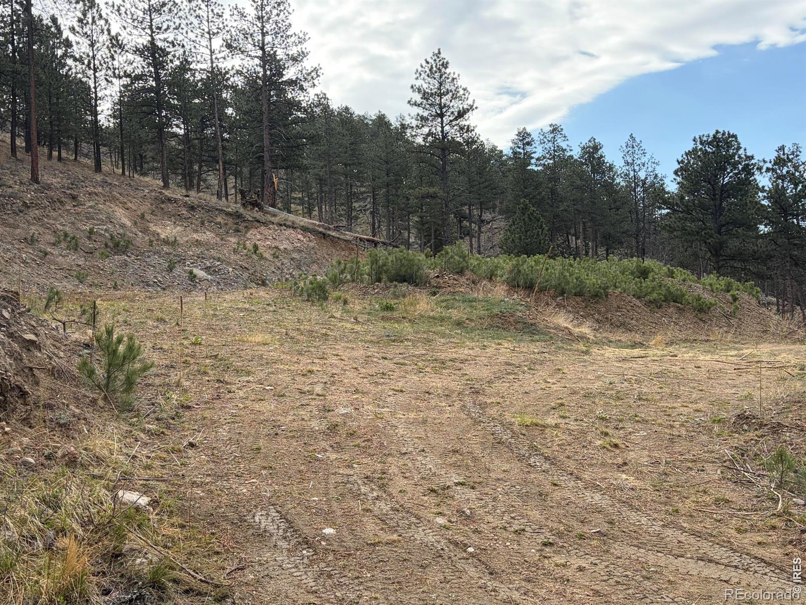 1899 Spring Valley Road Bellvue CO 80512