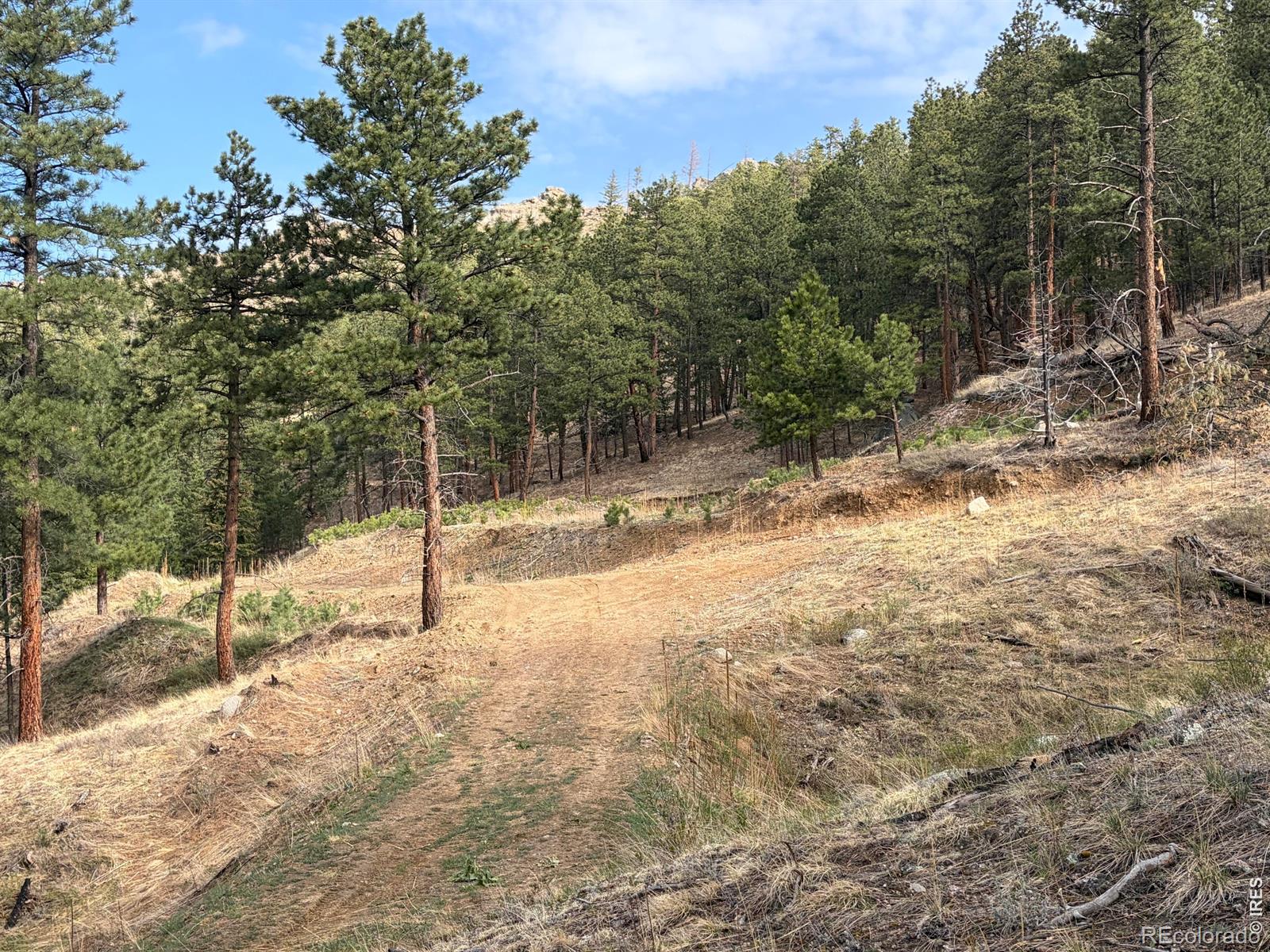 1899 Spring Valley Road Bellvue CO 80512