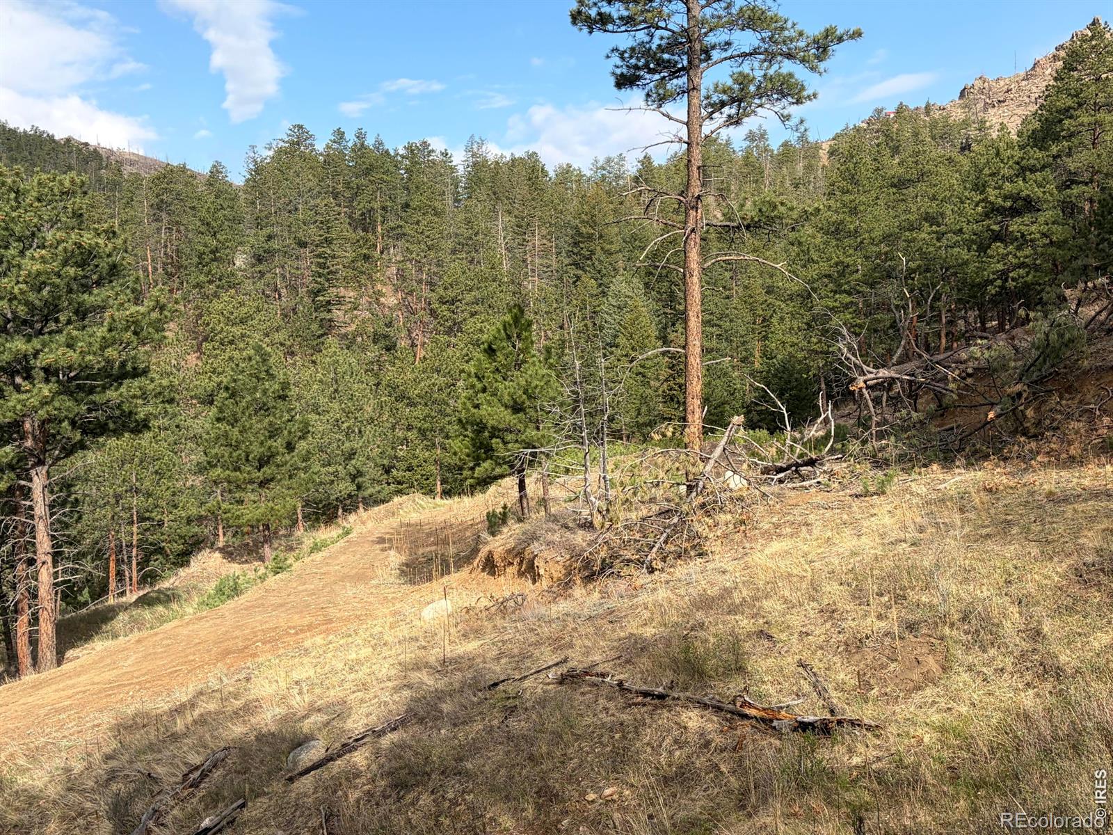 1899 Spring Valley Road Bellvue CO 80512