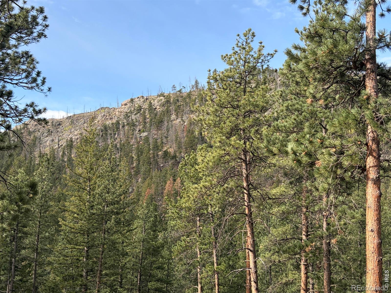 1899 Spring Valley Road Bellvue CO 80512