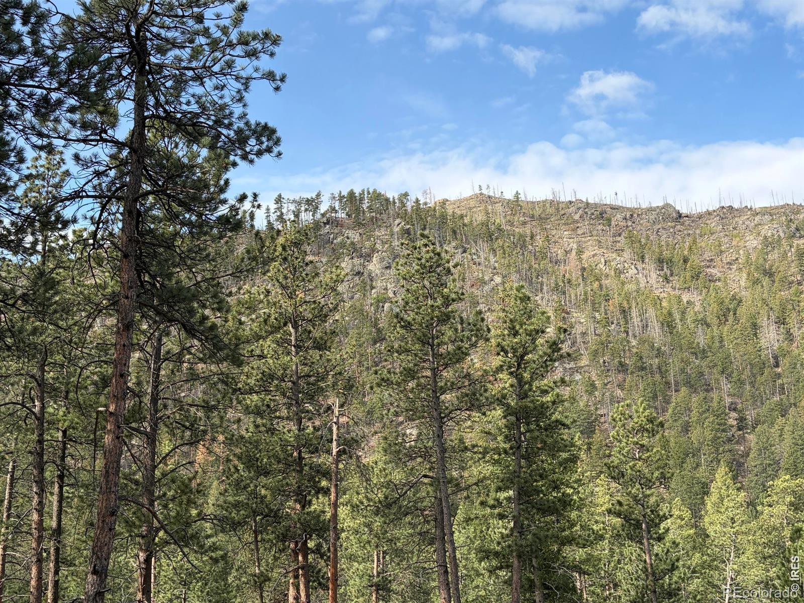 1899 Spring Valley Road Bellvue CO 80512