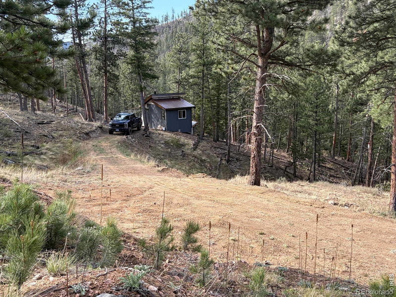 1899 Spring Valley Road Bellvue CO 80512