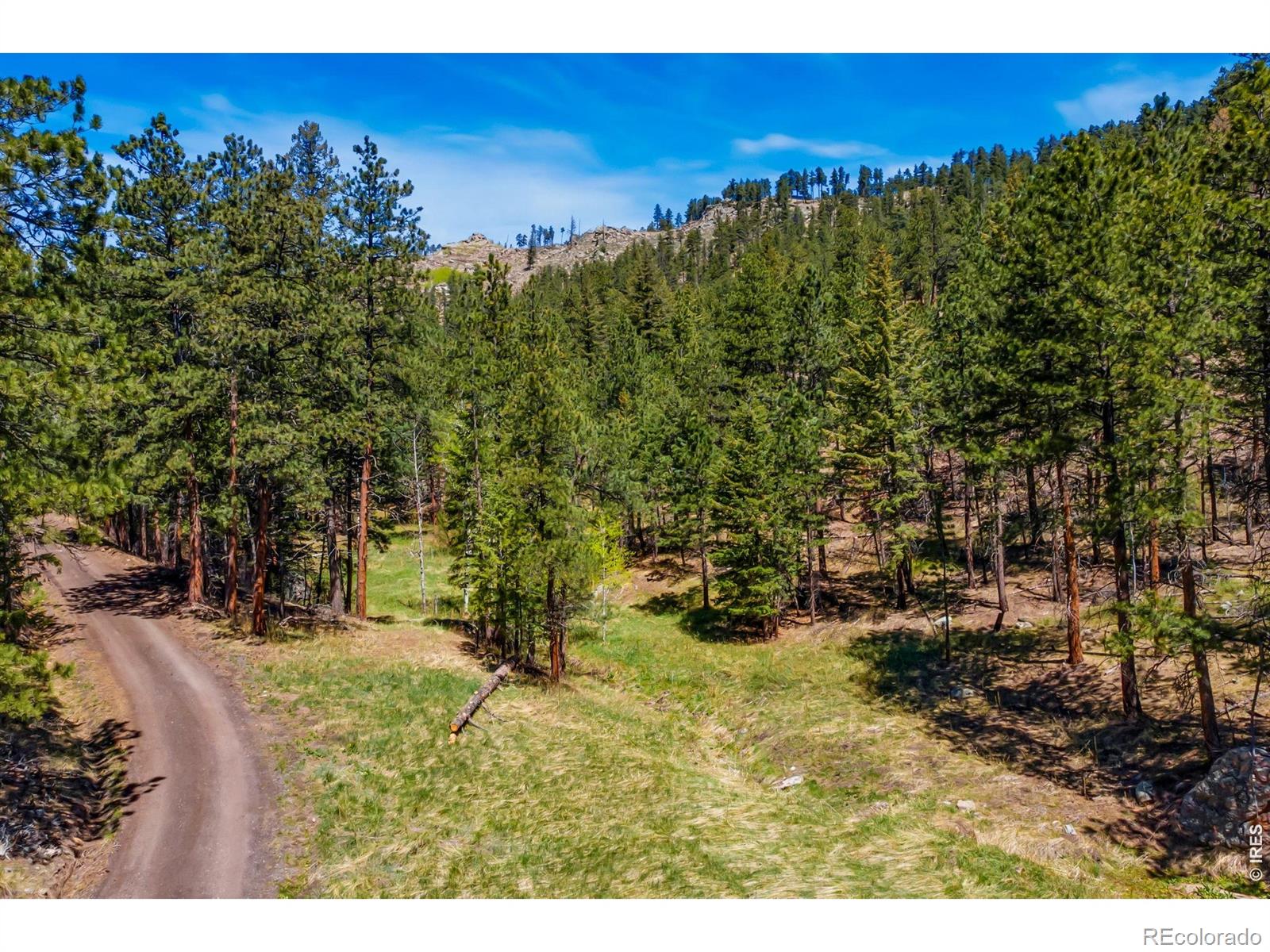 1899 Spring Valley Road Bellvue CO 80512