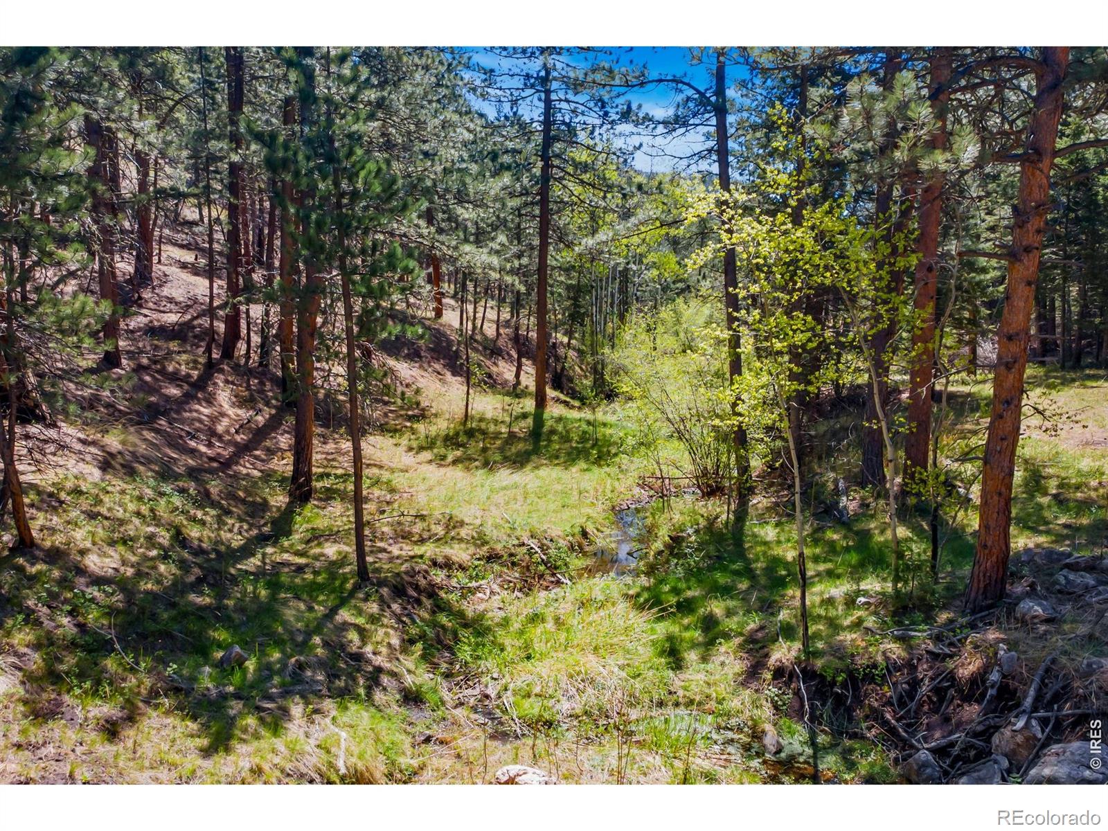 1899 Spring Valley Road Bellvue CO 80512