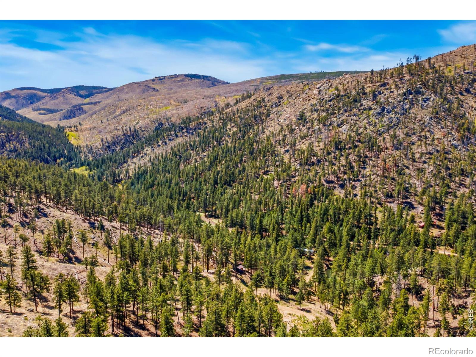 1899 Spring Valley Road Bellvue CO 80512