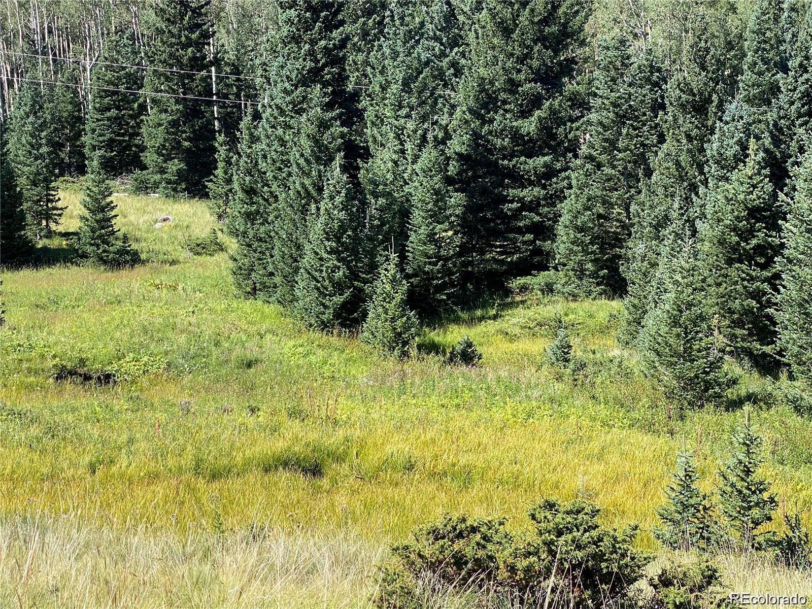 Lot 3141 Forbes Loop Road Fort Garland CO 81133