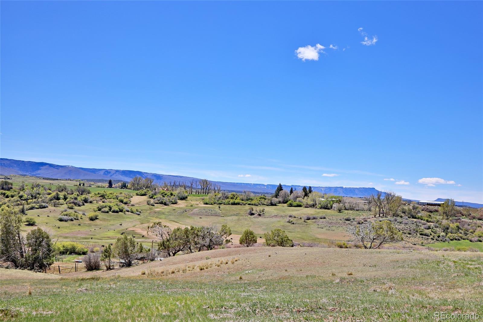58798 Delores Drive Collbran CO 81624
