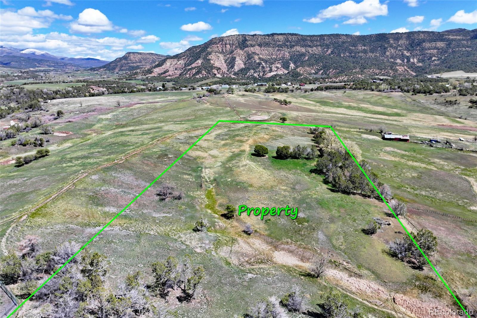 58798 Delores Drive Collbran CO 81624