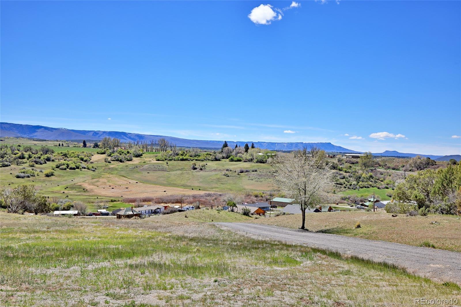 58798 Delores Drive Collbran CO 81624