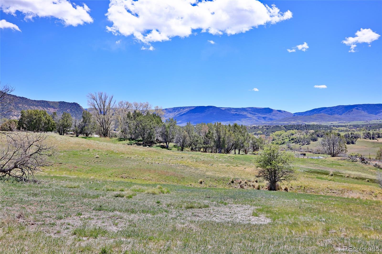 58798 Delores Drive Collbran CO 81624
