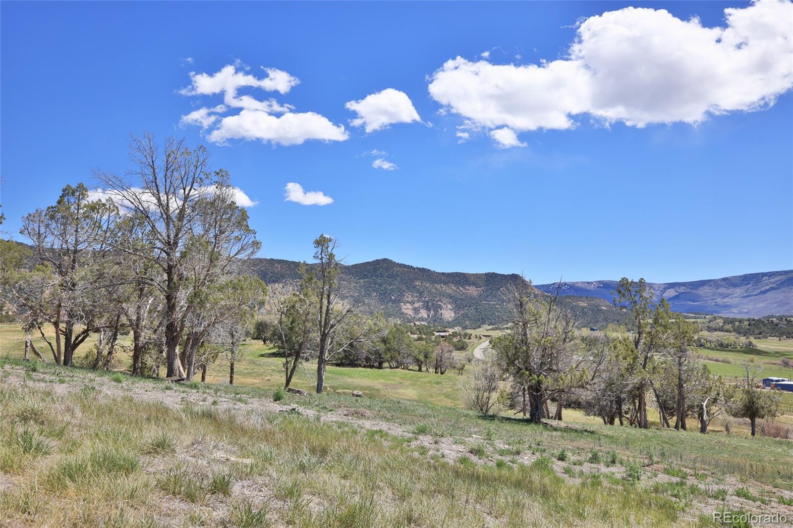 58798 Delores Drive Collbran CO 81624