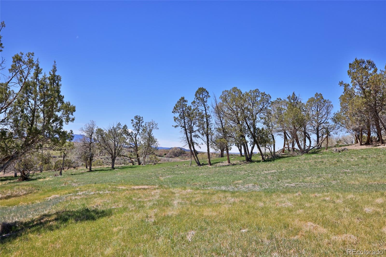 58798 Delores Drive Collbran CO 81624