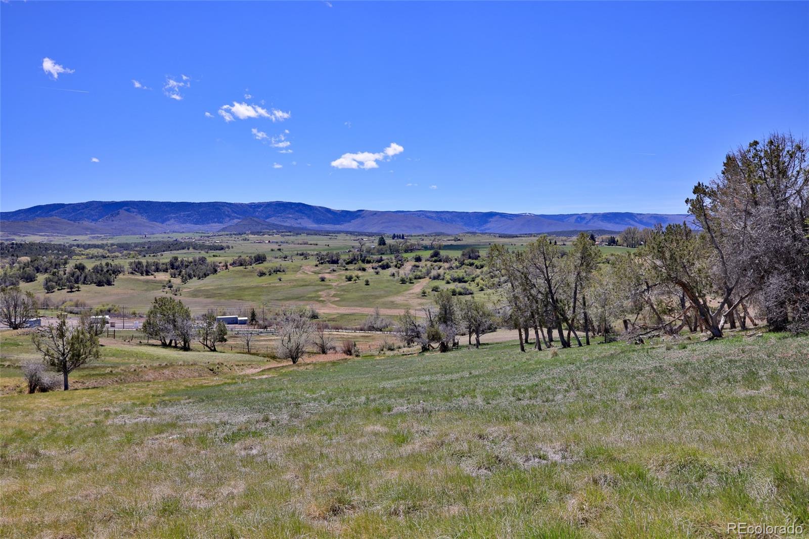 58798 Delores Drive Collbran CO 81624