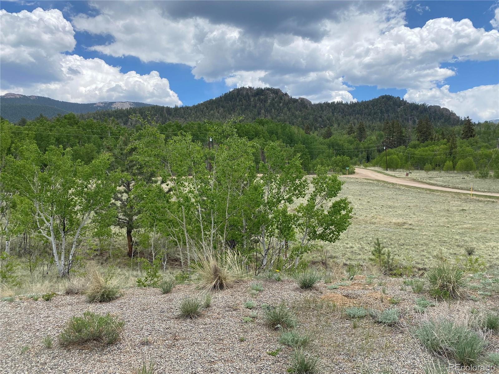 2071 Al Gulch Road Jefferson CO 80456