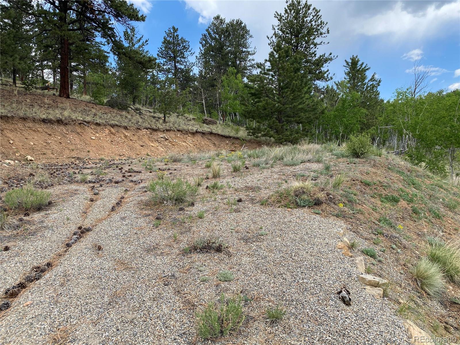 2071 Al Gulch Road Jefferson CO 80456