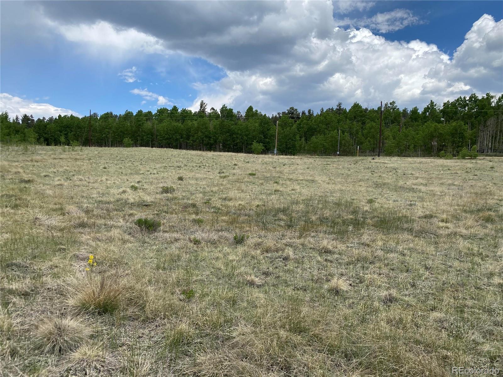 2071 Al Gulch Road Jefferson CO 80456