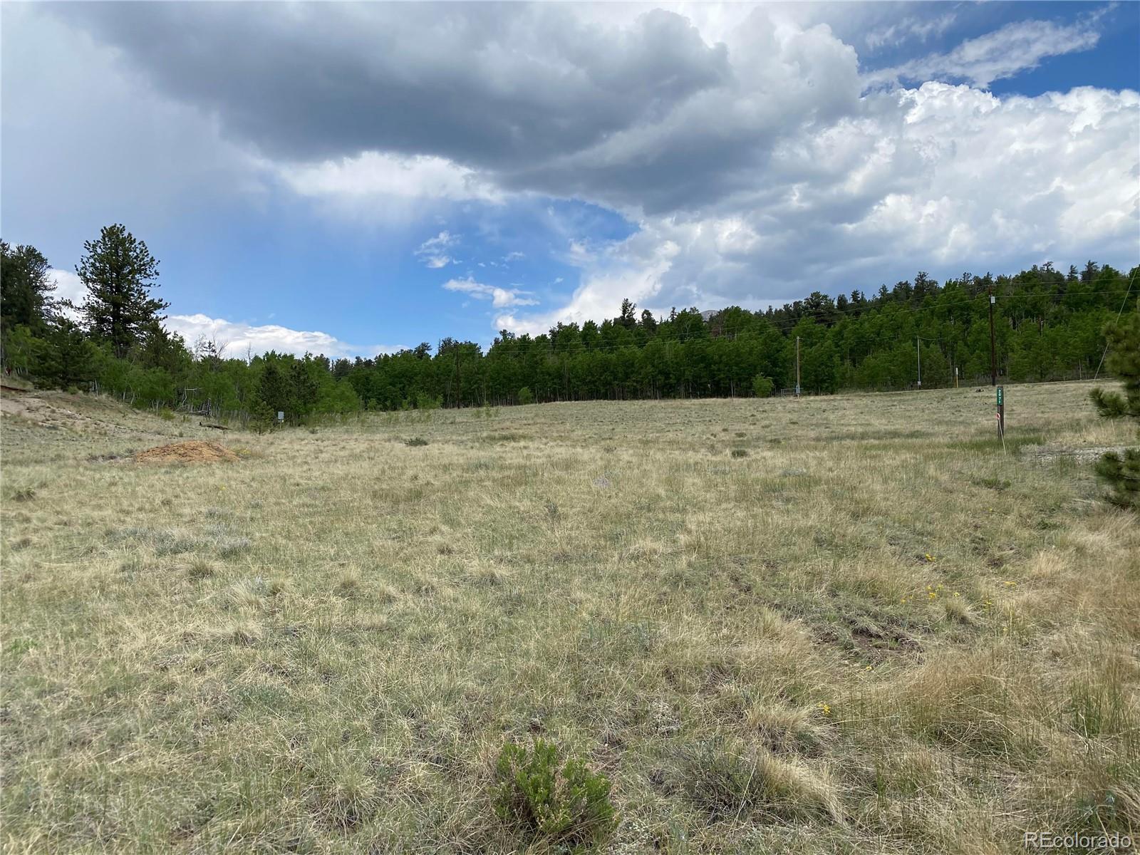 2071 Al Gulch Road Jefferson CO 80456