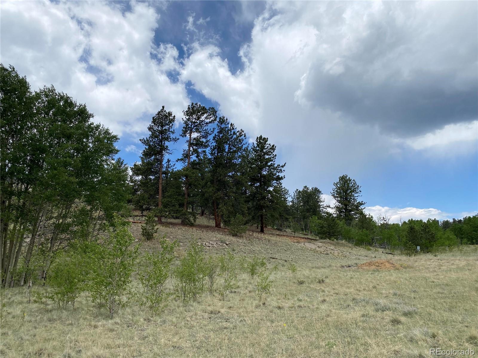 2071 Al Gulch Road Jefferson CO 80456