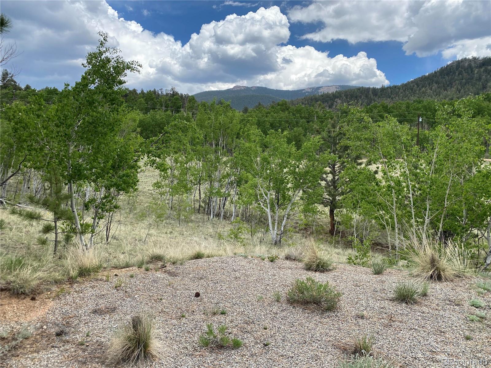 2071 Al Gulch Road Jefferson CO 80456