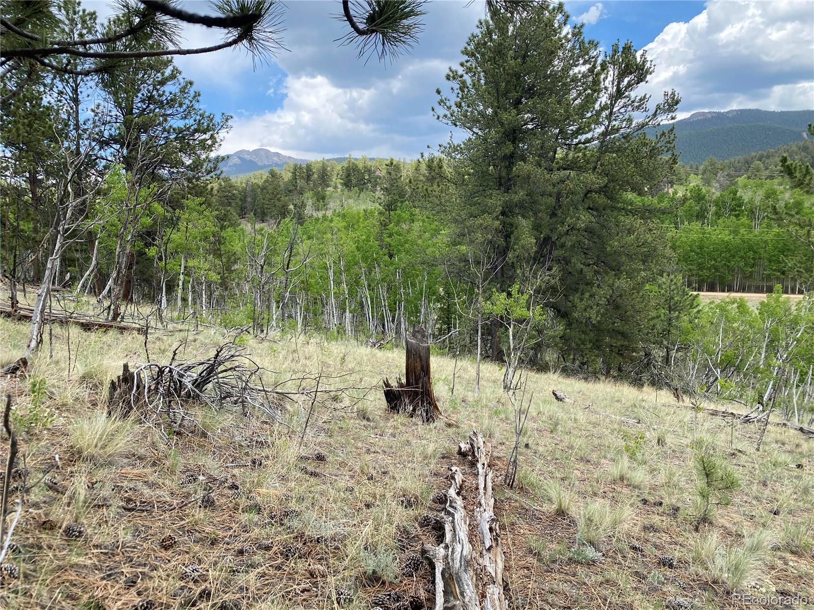 2071 Al Gulch Road Jefferson CO 80456