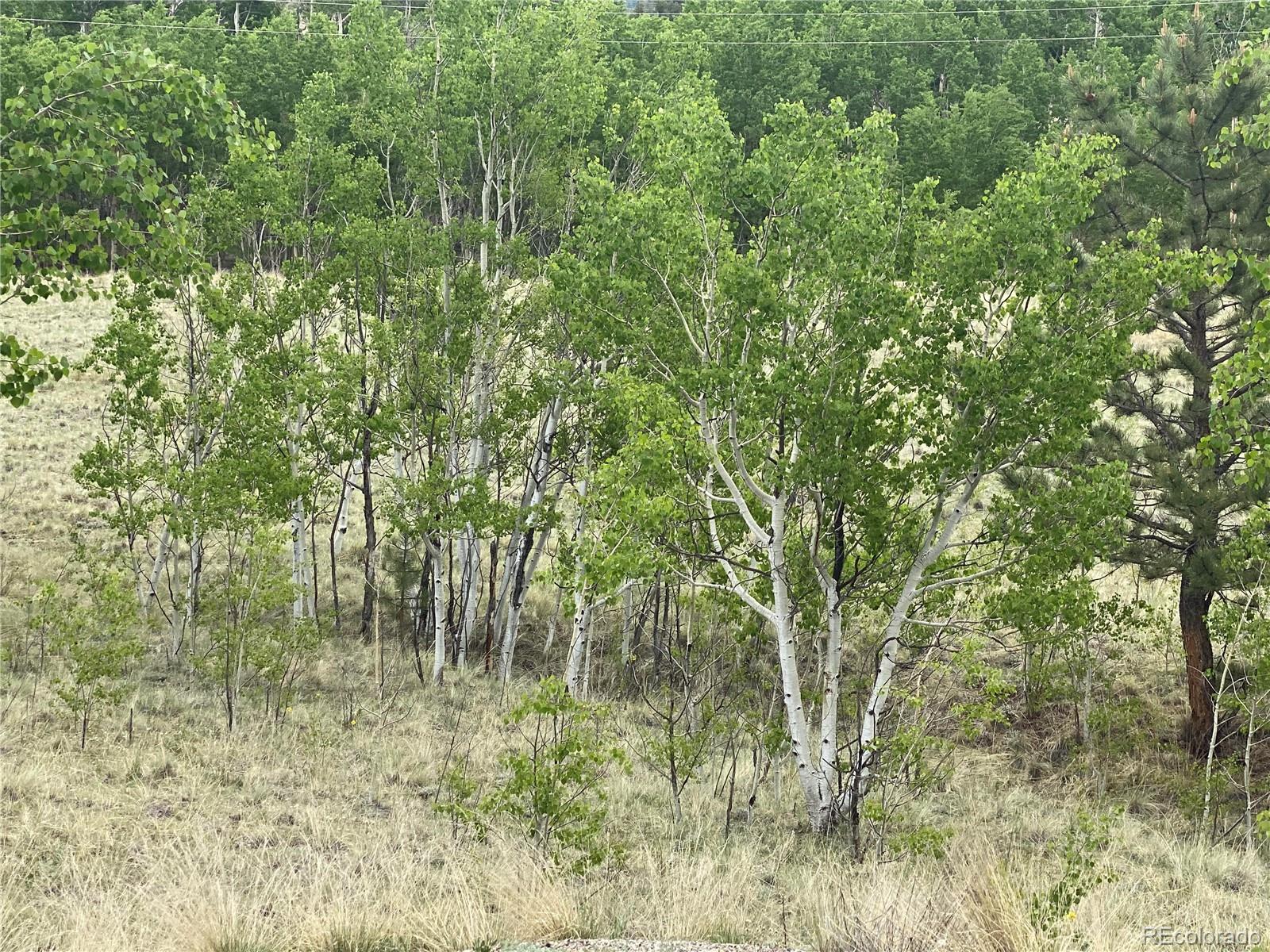 2071 Al Gulch Road Jefferson CO 80456