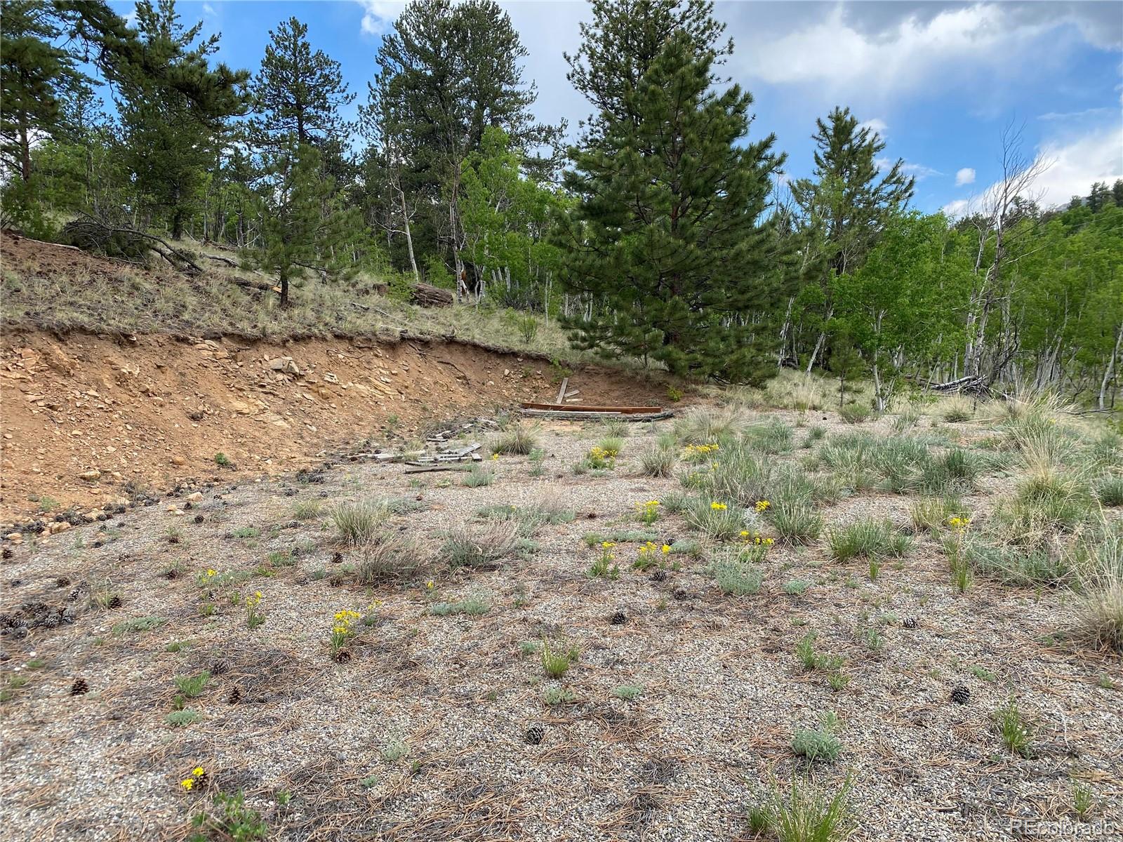 2071 Al Gulch Road Jefferson CO 80456